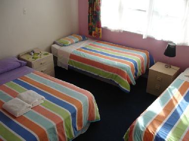 dorm $79 NZD